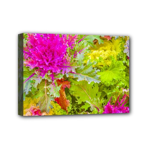 Colored Plants Photo Mini Canvas 7  X 5  by dflcprints