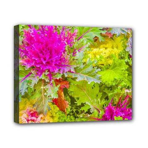 Colored Plants Photo Canvas 10  X 8  by dflcprints