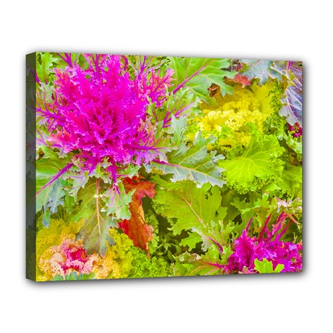 Colored Plants Photo Canvas 14  X 11  by dflcprints