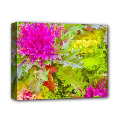 Colored Plants Photo Deluxe Canvas 14  X 11  by dflcprints