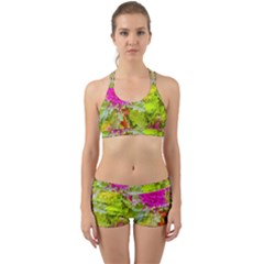 Colored Plants Photo Back Web Sports Bra Set by dflcprints