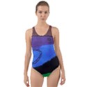 Purple Whale Cut-Out Back One Piece Swimsuit View1