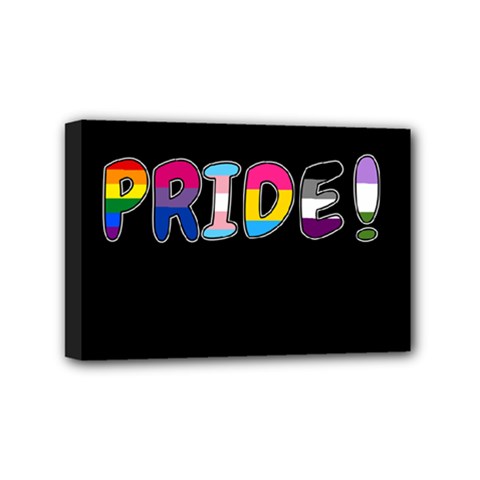 Pride Mini Canvas 6  X 4 