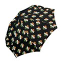 Irish Clover Folding Umbrellas View2