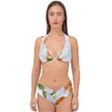 Irish Clover Double Strap Halter Bikini Set View1