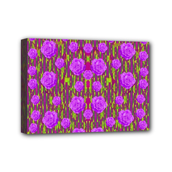 Roses Dancing On A Tulip Field Of Festive Colors Mini Canvas 7  x 5 