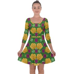 Roses Dancing On  Tulip Fields Forever Quarter Sleeve Skater Dress