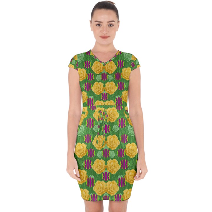 Roses Dancing On  Tulip Fields Forever Capsleeve Drawstring Dress 