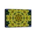 Fantasy Plumeria Decorative Real And Mandala Mini Canvas 6  x 4  View1