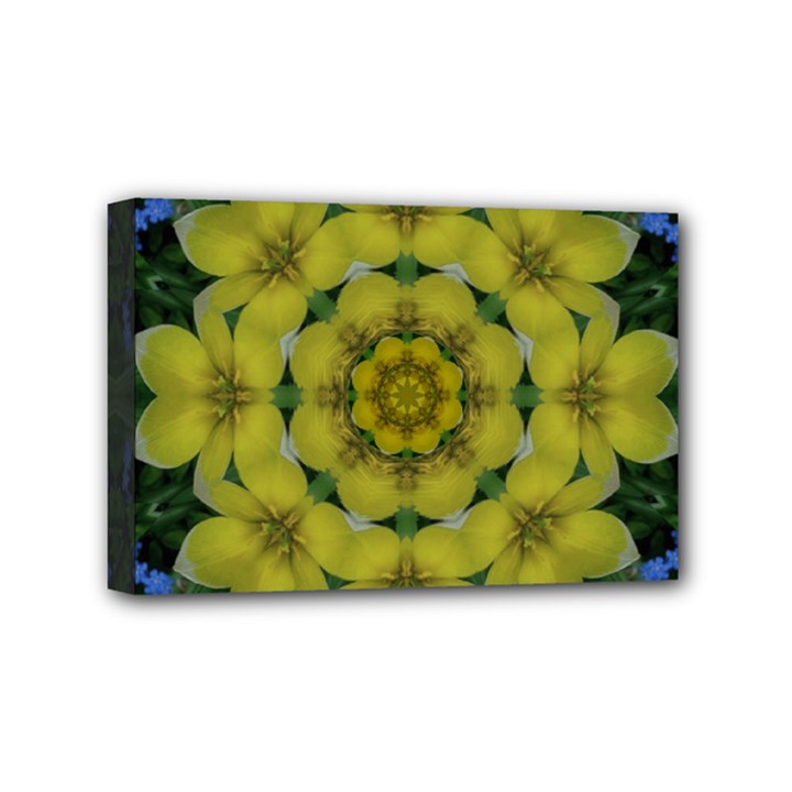 Fantasy Plumeria Decorative Real And Mandala Mini Canvas 6  x 4 