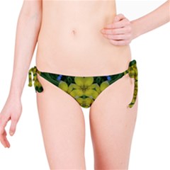 Fantasy Plumeria Decorative Real And Mandala Bikini Bottom by pepitasart