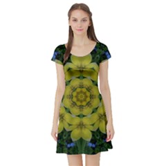 Fantasy Plumeria Decorative Real And Mandala Short Sleeve Skater Dress by pepitasart