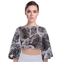 Coquina Shell Limestone Rocks Tie Back Butterfly Sleeve Chiffon Top