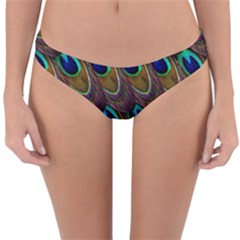 Peacock Feathers Bird Plumage Reversible Hipster Bikini Bottoms by Nexatart