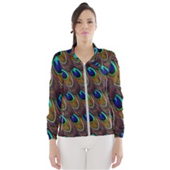 Peacock Feathers Bird Plumage Wind Breaker (women) by Nexatart