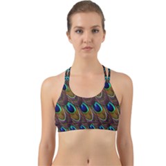 Peacock Feathers Bird Plumage Back Web Sports Bra by Nexatart