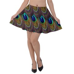 Peacock Feathers Bird Plumage Velvet Skater Skirt by Nexatart