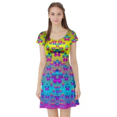 Flowers In The Most Beautiful Sunshine Short Sleeve Skater Dress by pepitasart