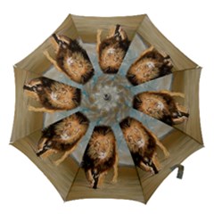 The Journey Hook Handle Umbrellas (medium) by redmaidenart