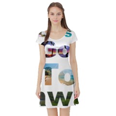 Hawaii Short Sleeve Skater Dress