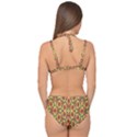 Pattern-25 Double Strap Halter Bikini Set View2