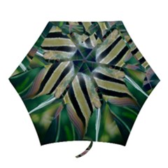 Angelfish 1 Mini Folding Umbrellas by trendistuff