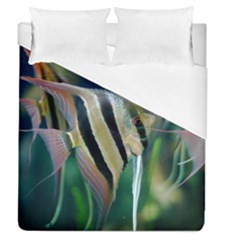 Angelfish 1 Duvet Cover (queen Size) by trendistuff