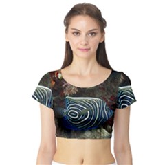 ANGELFISH 2 Short Sleeve Crop Top