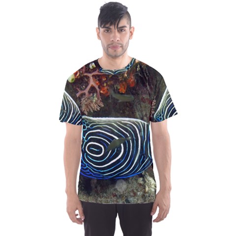 Angelfish 2 Men s Sports Mesh Tee by trendistuff