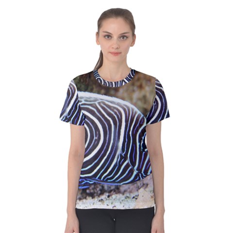 Angelfish 3 Women s Cotton Tee by trendistuff