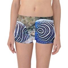 Angelfish 3 Boyleg Bikini Bottoms by trendistuff