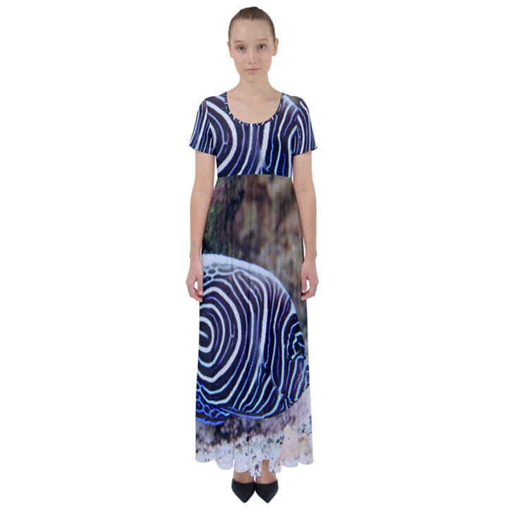 ANGELFISH 3 High Waist Short Sleeve Maxi Dress