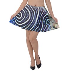 Angelfish 3 Velvet Skater Skirt by trendistuff