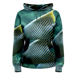 Angelfish 4 Women s Pullover Hoodie by trendistuff