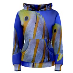 Butterfly Fish 1 Women s Pullover Hoodie by trendistuff