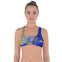 BUTTERFLY FISH 1 Got No Strings Sports Bra View1