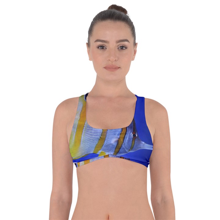 BUTTERFLY FISH 1 Got No Strings Sports Bra