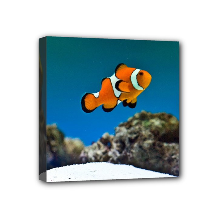 CLOWNFISH 1 Mini Canvas 4  x 4 