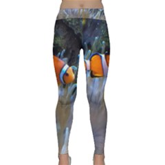 Clownfish 2 Classic Yoga Leggings by trendistuff