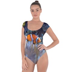 Clownfish 2 Short Sleeve Leotard 