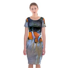 Clownfish 2 Classic Short Sleeve Midi Dress by trendistuff