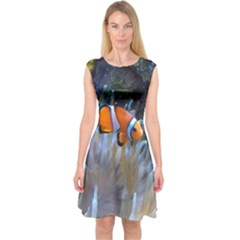 Clownfish 2 Capsleeve Midi Dress by trendistuff