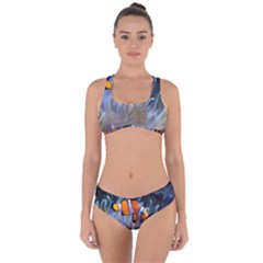 Clownfish 2 Criss Cross Bikini Set by trendistuff