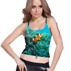 Clownfish 3 Spaghetti Strap Bra Top by trendistuff