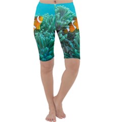 Clownfish 3 Cropped Leggings  by trendistuff