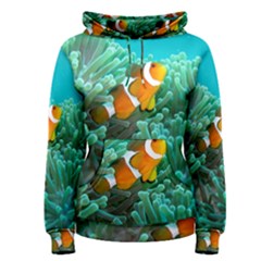 Clownfish 3 Women s Pullover Hoodie by trendistuff