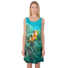 Clownfish 3 Sleeveless Satin Nightdress by trendistuff