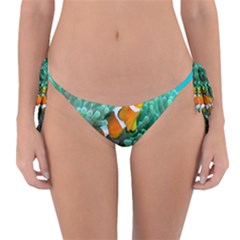 Clownfish 3 Reversible Bikini Bottom