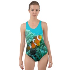 Clownfish 3 Cut-out Back One Piece Swimsuit by trendistuff