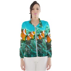 Clownfish 3 Wind Breaker (women) by trendistuff